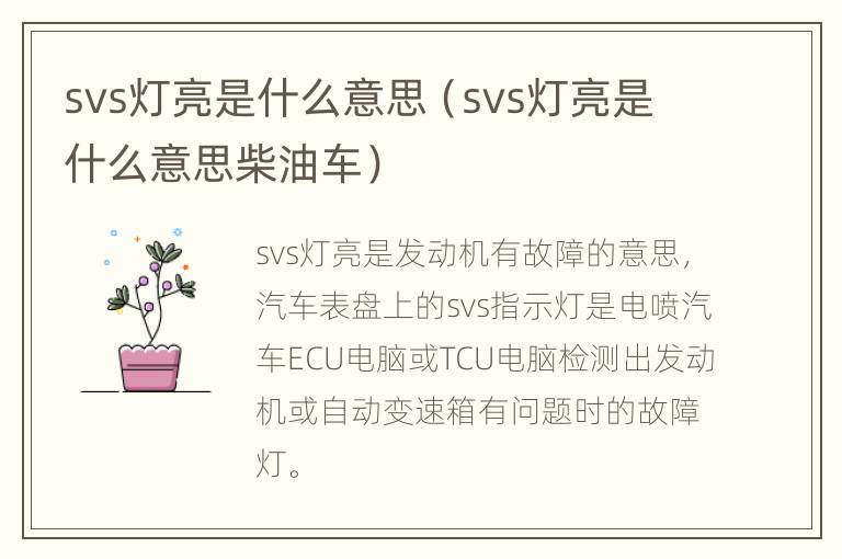 svs灯亮是什么意思（svs灯亮是什么意思柴油车）