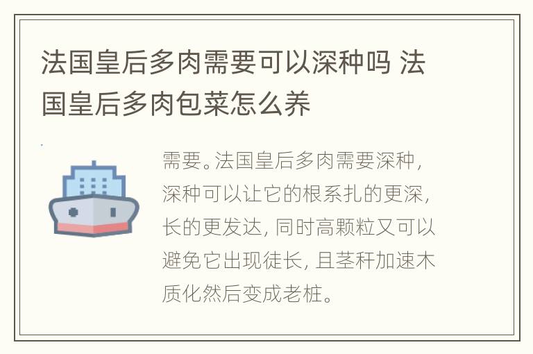 法国皇后多肉需要可以深种吗 法国皇后多肉包菜怎么养