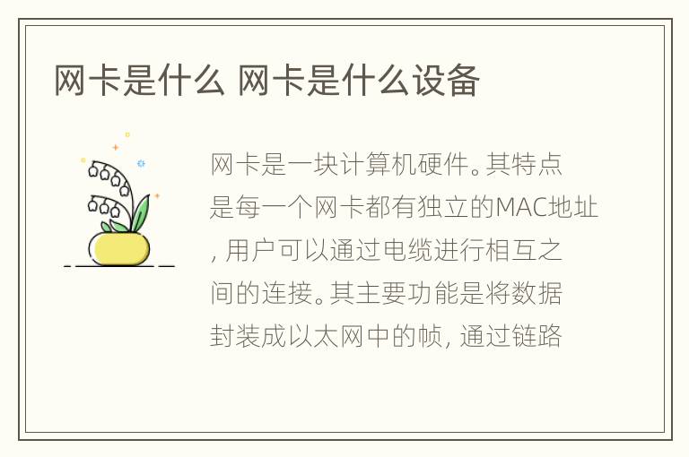 网卡是什么 网卡是什么设备