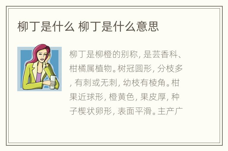 柳丁是什么 柳丁是什么意思