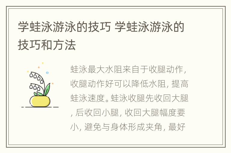 学蛙泳游泳的技巧 学蛙泳游泳的技巧和方法