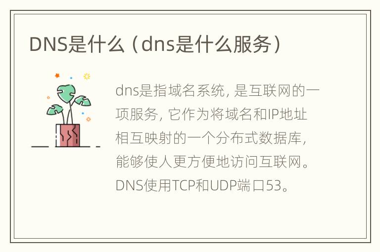 DNS是什么（dns是什么服务）