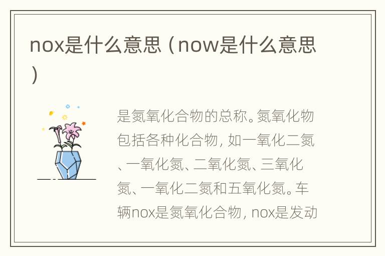 nox是什么意思（now是什么意思）