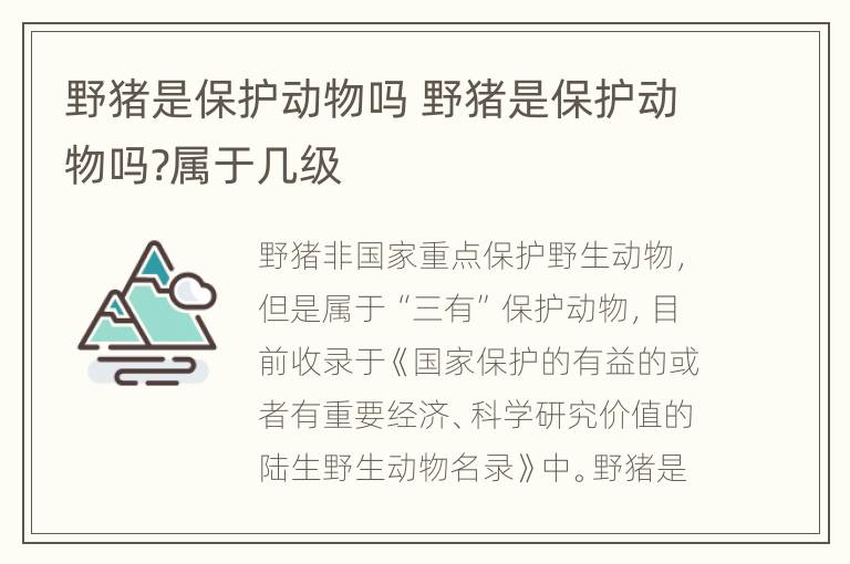 野猪是保护动物吗 野猪是保护动物吗?属于几级