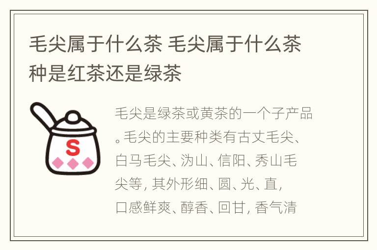 毛尖属于什么茶 毛尖属于什么茶种是红茶还是绿茶