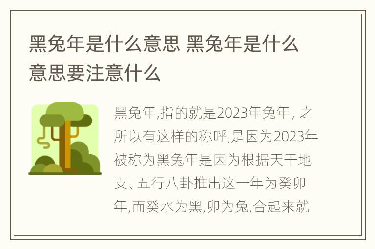 黑兔年是什么意思 黑兔年是什么意思要注意什么