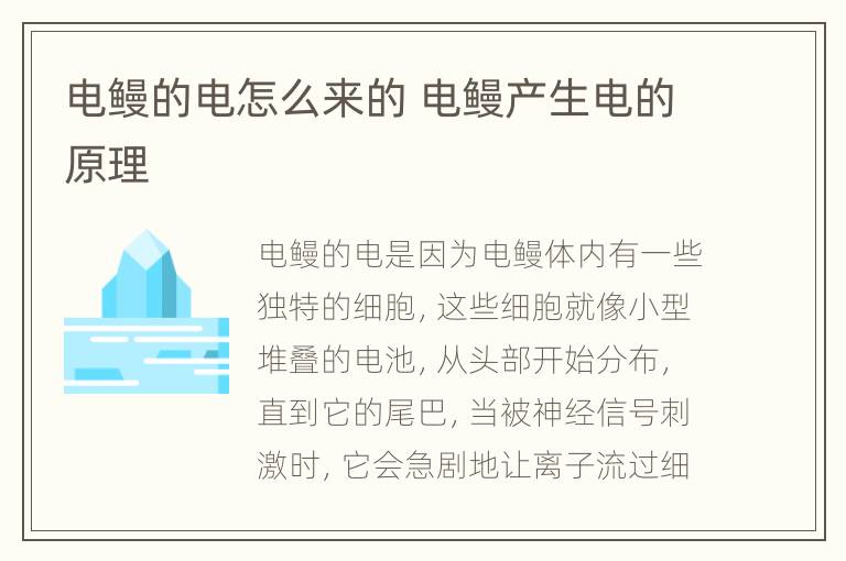 电鳗的电怎么来的 电鳗产生电的原理