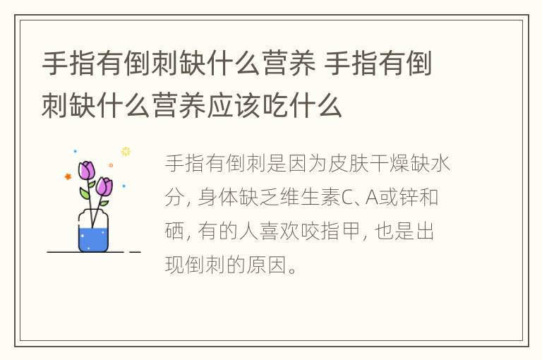 手指有倒刺缺什么营养 手指有倒刺缺什么营养应该吃什么