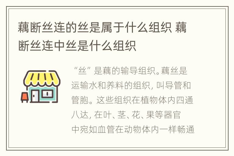 藕断丝连的丝是属于什么组织 藕断丝连中丝是什么组织