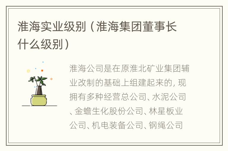 淮海实业级别（淮海集团董事长什么级别）