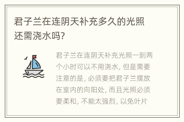 君子兰在连阴天补充多久的光照还需浇水吗?