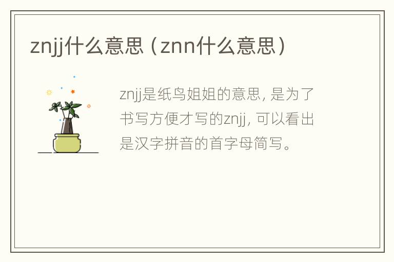 znjj什么意思（znn什么意思）