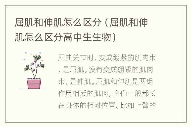 屈肌和伸肌怎么区分（屈肌和伸肌怎么区分高中生生物）