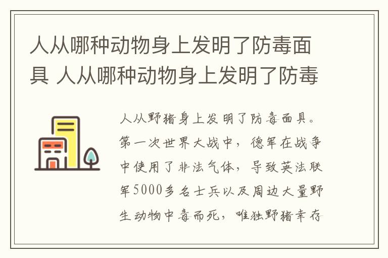 人从哪种动物身上发明了防毒面具 人从哪种动物身上发明了防毒面具的技术