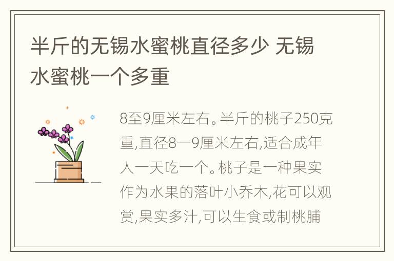 半斤的无锡水蜜桃直径多少 无锡水蜜桃一个多重