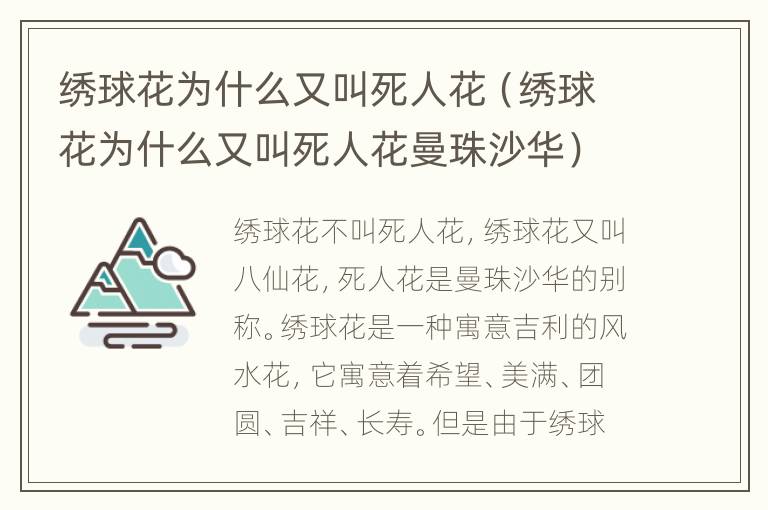 绣球花为什么又叫死人花（绣球花为什么又叫死人花曼珠沙华）