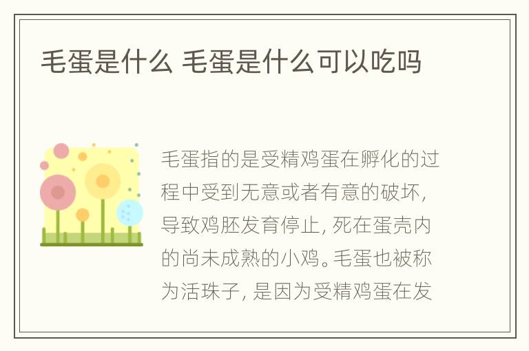 毛蛋是什么 毛蛋是什么可以吃吗