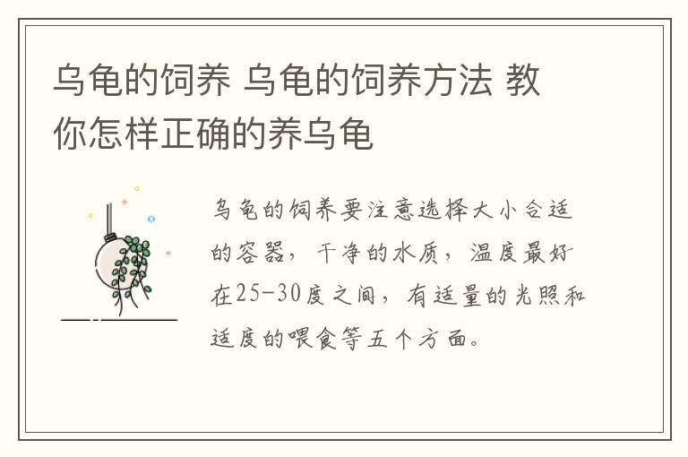 乌龟的饲养 乌龟的饲养方法 教你怎样正确的养乌龟