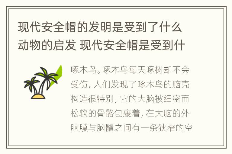 现代安全帽的发明是受到了什么动物的启发 现代安全帽是受到什么动物的启发