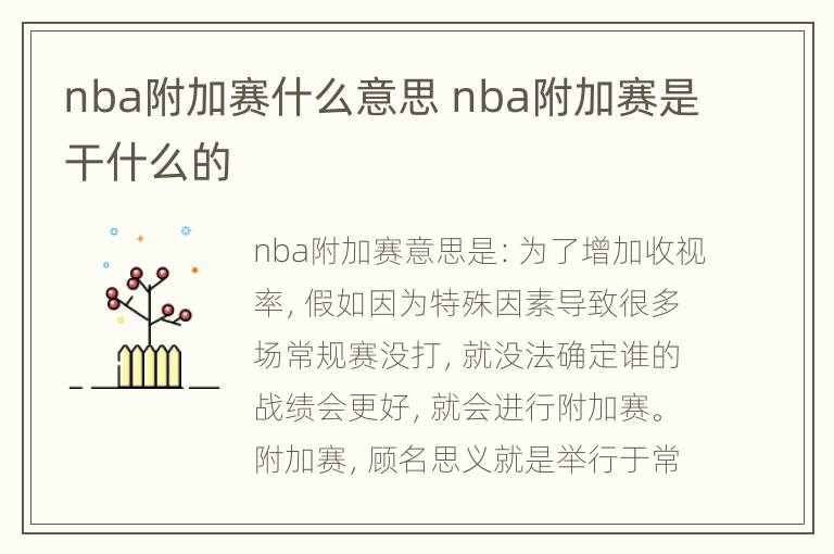 nba附加赛什么意思 nba附加赛是干什么的