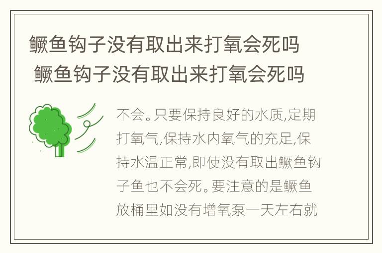 鳜鱼钩子没有取出来打氧会死吗 鳜鱼钩子没有取出来打氧会死吗视频