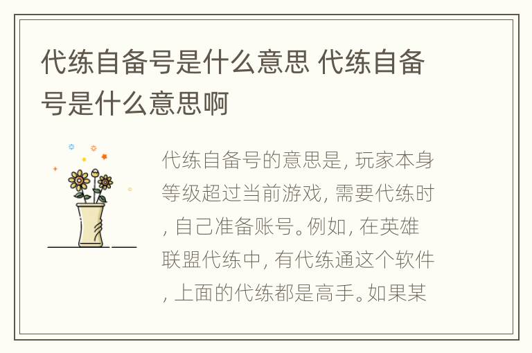 代练自备号是什么意思 代练自备号是什么意思啊