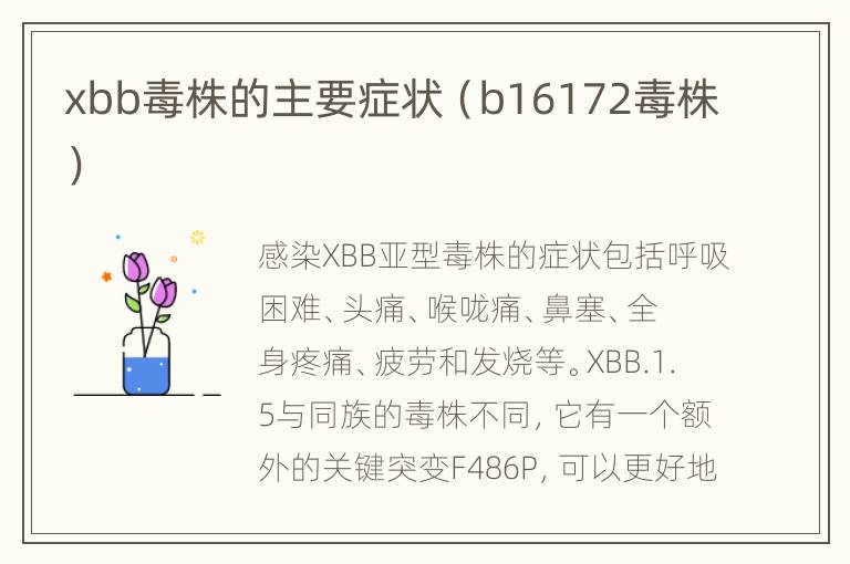 xbb毒株的主要症状（b16172毒株）