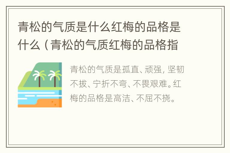 青松的气质是什么红梅的品格是什么（青松的气质红梅的品格指什么）