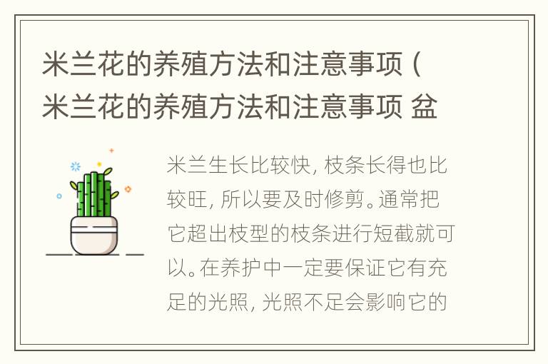 米兰花的养殖方法和注意事项（米兰花的养殖方法和注意事项 盆栽冬季）