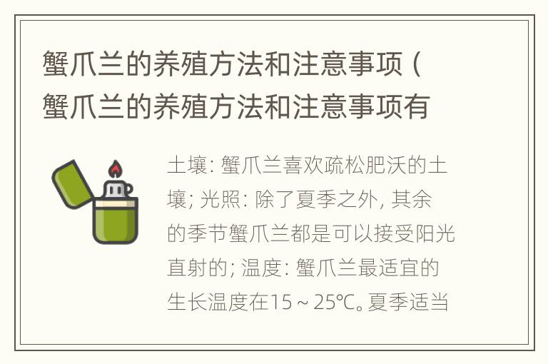 蟹爪兰的养殖方法和注意事项（蟹爪兰的养殖方法和注意事项有哪些呢）