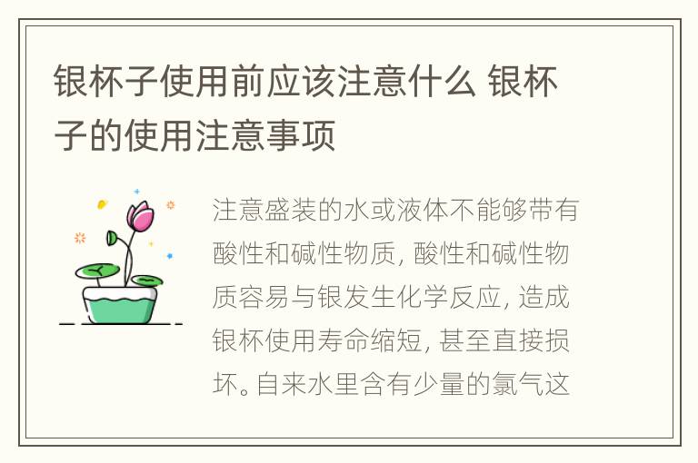 银杯子使用前应该注意什么 银杯子的使用注意事项