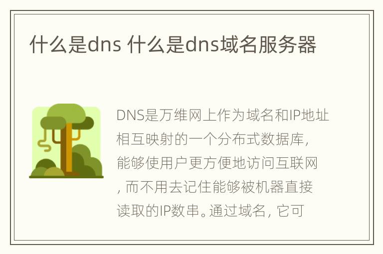 什么是dns 什么是dns域名服务器