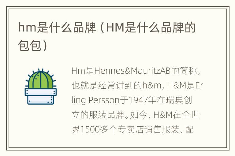 hm是什么品牌（HM是什么品牌的包包）