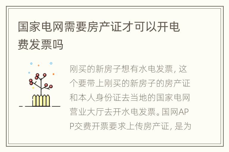 国家电网需要房产证才可以开电费发票吗