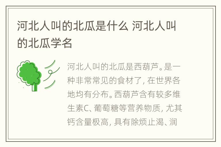 河北人叫的北瓜是什么 河北人叫的北瓜学名