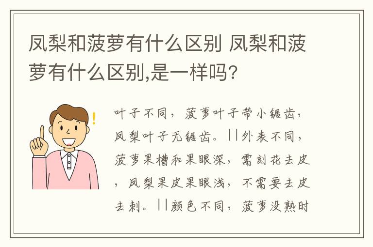 凤梨和菠萝有什么区别 凤梨和菠萝有什么区别,是一样吗?