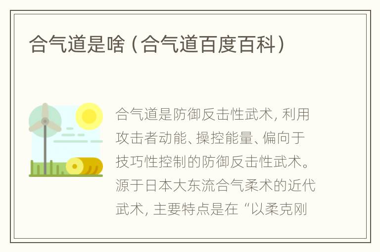 合气道是啥（合气道百度百科）