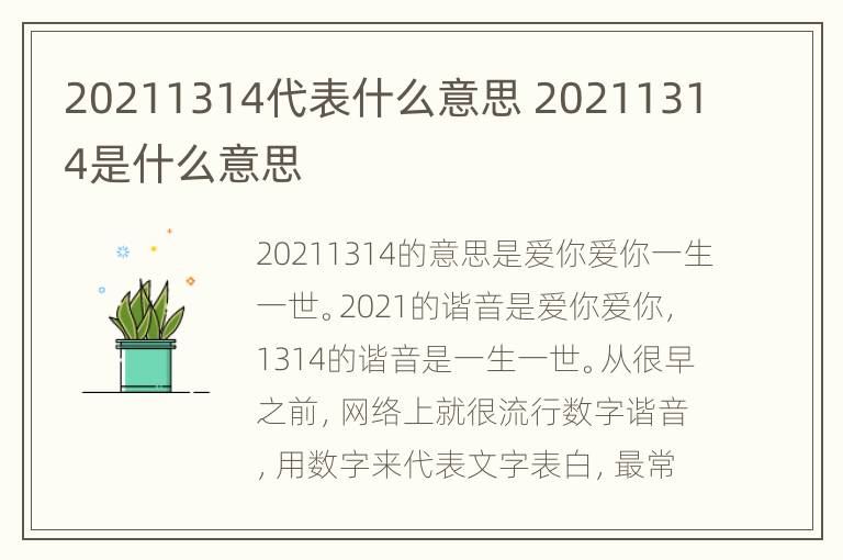 20211314代表什么意思 20211314是什么意思