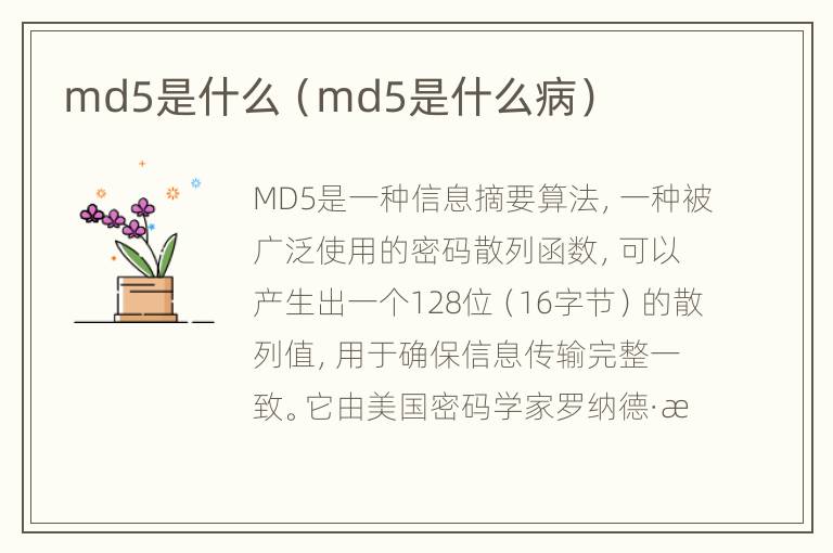 md5是什么（md5是什么病）