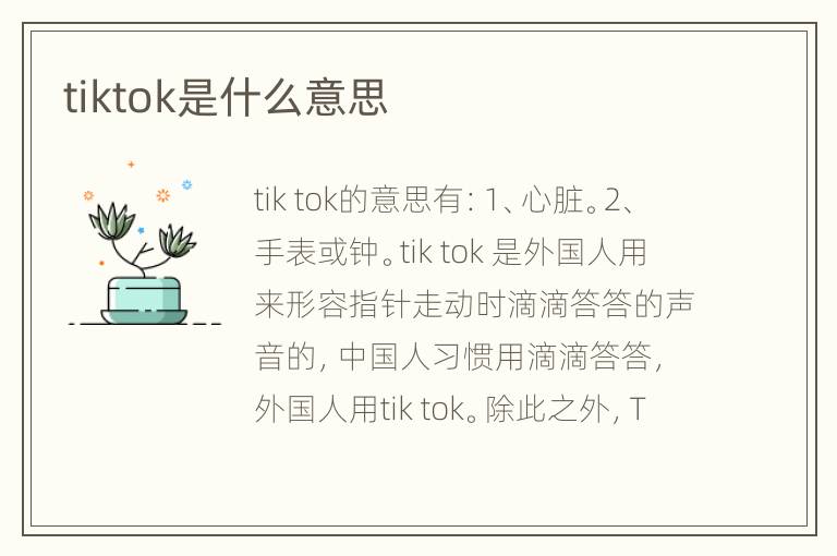 tiktok是什么意思