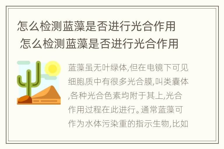 怎么检测蓝藻是否进行光合作用 怎么检测蓝藻是否进行光合作用呢