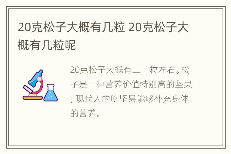 20克松子大概有几粒 20克松子大概有几粒呢