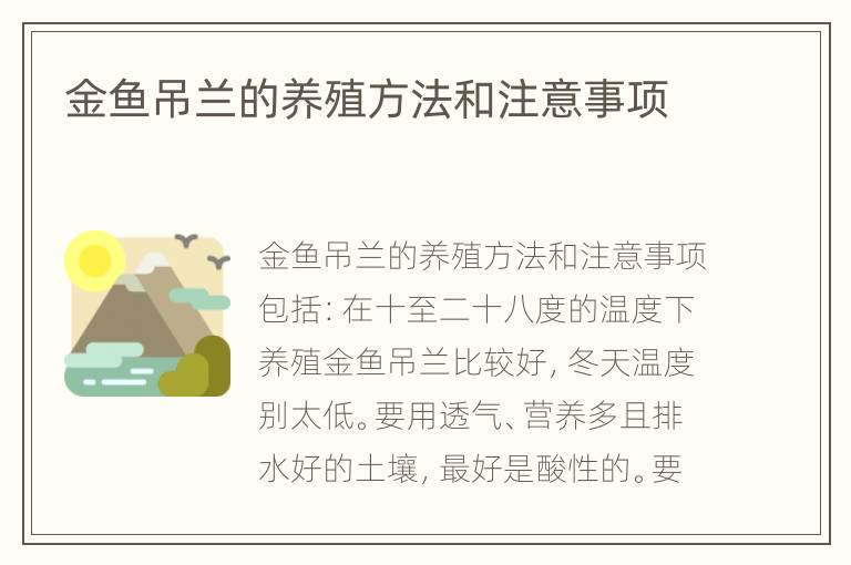 金鱼吊兰的养殖方法和注意事项