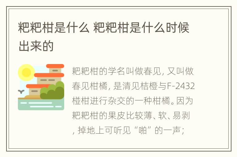 粑粑柑是什么 粑粑柑是什么时候出来的