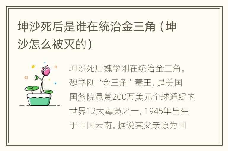 坤沙死后是谁在统治金三角（坤沙怎么被灭的）