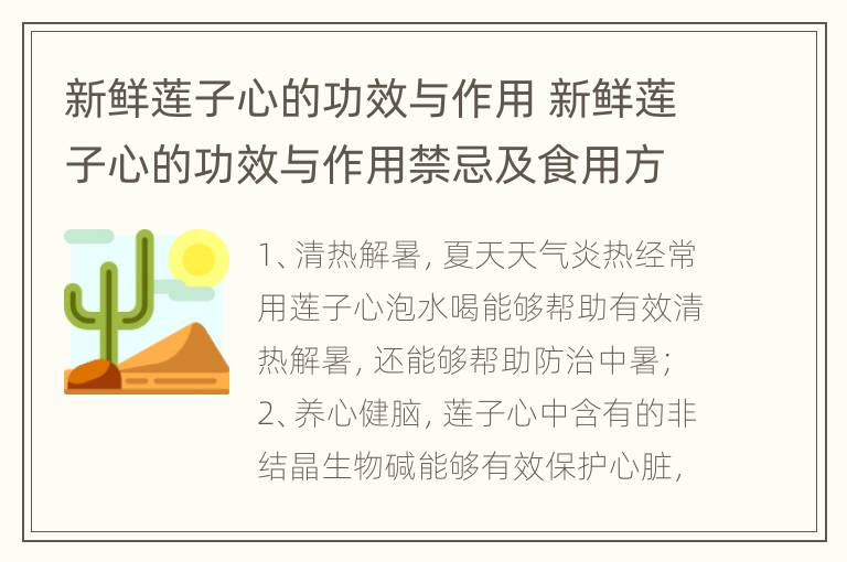 新鲜莲子心的功效与作用 新鲜莲子心的功效与作用禁忌及食用方法