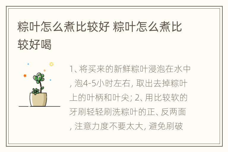 粽叶怎么煮比较好 粽叶怎么煮比较好喝