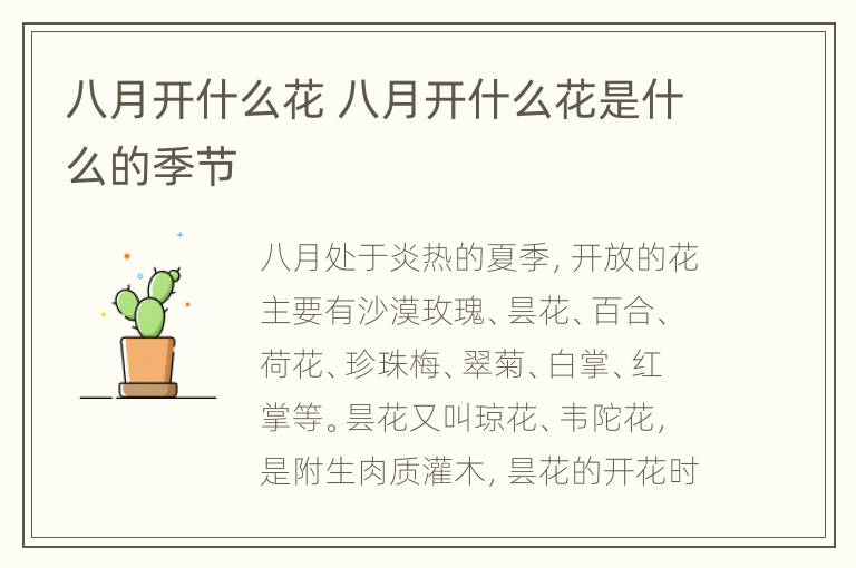 八月开什么花 八月开什么花是什么的季节