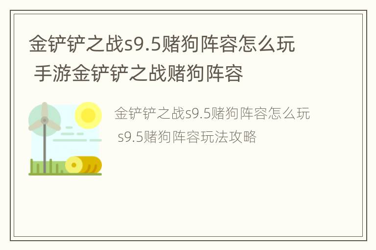 金铲铲之战s9.5赌狗阵容怎么玩 手游金铲铲之战赌狗阵容