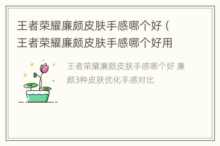 王者荣耀廉颇皮肤手感哪个好（王者荣耀廉颇皮肤手感哪个好用）